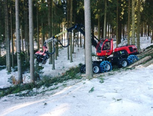 neunteufel holzschlaegerung wald