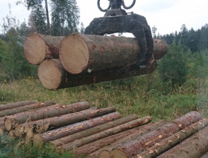 neunteufel holzrueckung baumstemme