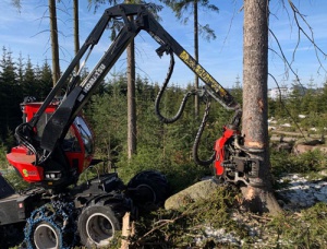 neunteufel holzschlaegerung wald