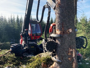 neunteufel holzschlaegerung wald