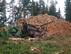 neunteufel holzrueckung stapel holz