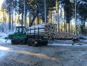 neunteufel holzreuckung winter